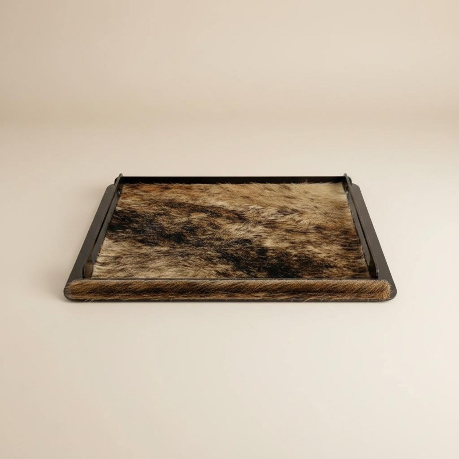ถาดตกแต่งขนม้า ถาดโลหะดีไซน์สร - Home Decor Frames บทวิจารณ์และราคา